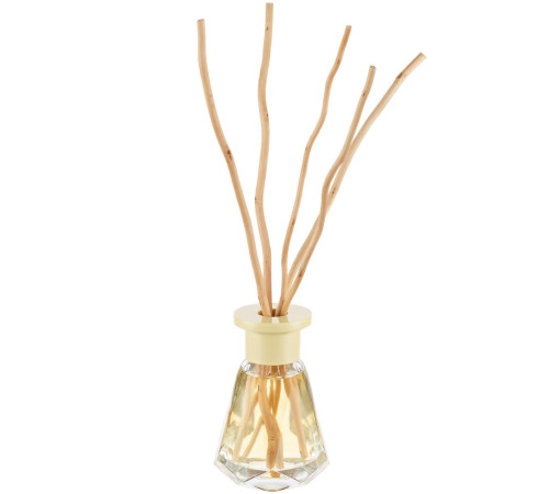 Диффузор ароматический Bloomfield, сосна и кипарис