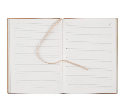 Ежедневник Anaconda, недатированный, золотистый