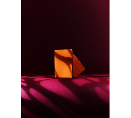 Обложка для паспорта Shall Simple, оранжевый