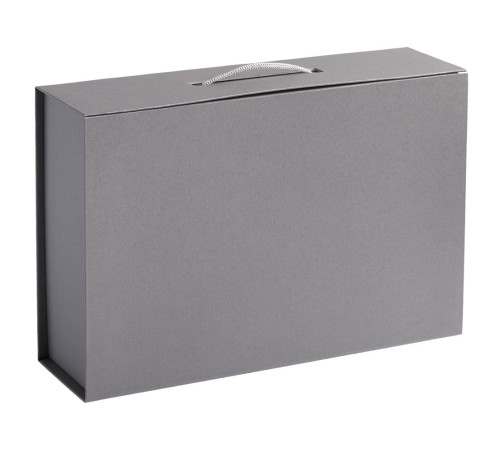 Коробка Case, подарочная, серебристая