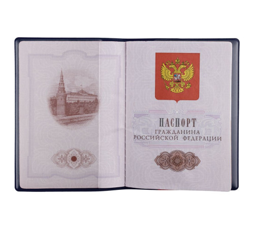 Обложка для паспорта Dorset, синяя