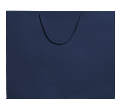 Пакет бумажный Ample Plus L, синий