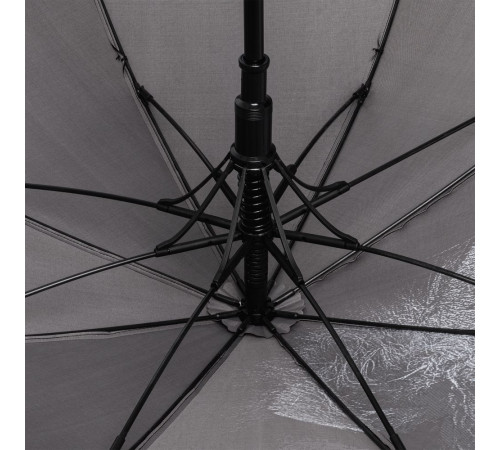 Зонт-трость Like a Lion