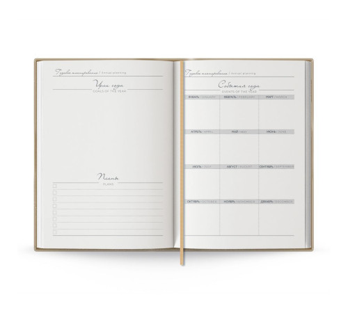 Ежедневник Anaconda, недатированный, золотистый