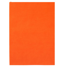 Ежедневник Flat Light, недатированный, оранжевый