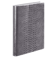 Ежедневник Anaconda, недатированный, серебристый