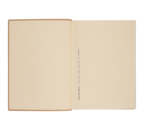 Ежедневник Anaconda, недатированный, золотистый