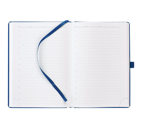 Ежедневник Favor Gold, недатированный, синий