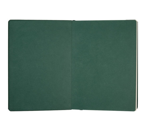 Ежедневник Shall, недатированный, зеленый