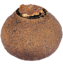 Черный чай Citrus в апельсине с маслом лайма