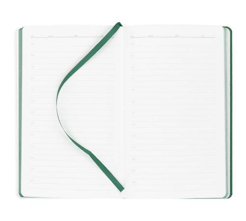Ежедневник Duplex, недатированный, белый с зеленым