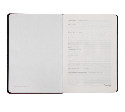 Ежедневник Alanis, недатированный, черный с красным