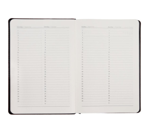 Ежедневник Alanis, недатированный, черный с красным