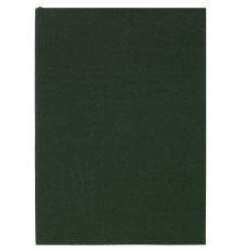 Ежедневник Flat Light, недатированный, зеленый