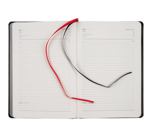 Ежедневник Alanis, недатированный, черный с красным