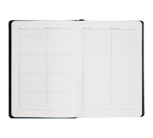 Ежедневник Alanis, недатированный, черный с голубым