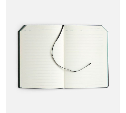 Ежедневник Espresso, недатированный, зеленый